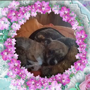 Meet your Posher, Joalynn